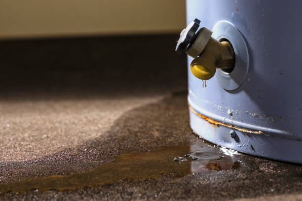 Best Mold removal after water damage  in Palm Beach Gardens, FL
