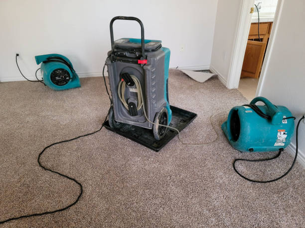 Best Fire Damage Restoration  in Palm Beach Gardens, FL