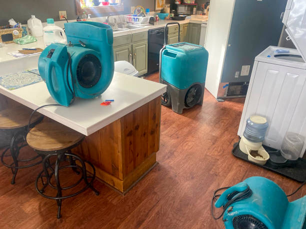 Best Water damage contractors near me  in Palm Beach Gardens, FL