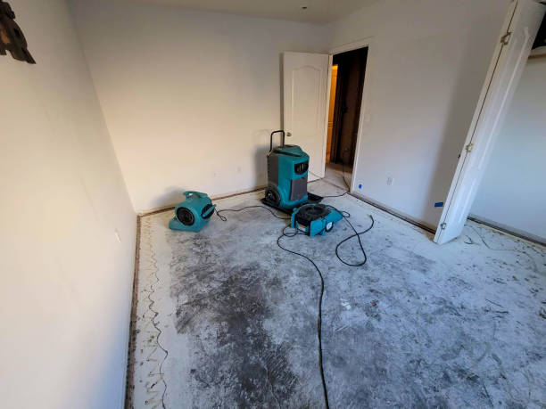 Best Sewage cleanup and water damage restoration  in Palm Beach Gardens, FL