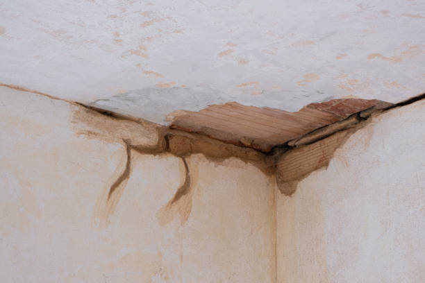 Best Ceiling water damage repair  in Palm Beach Gardens, FL