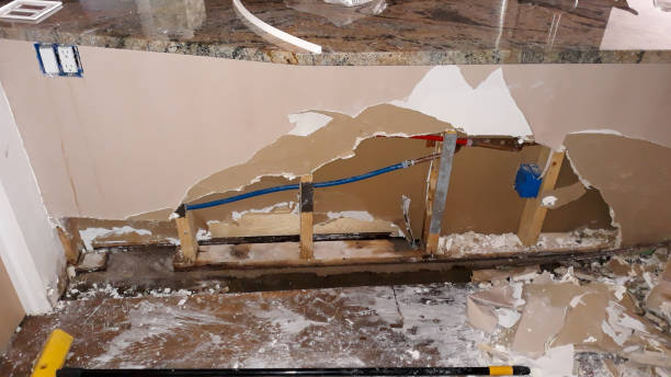 Best Flood restoration services  in Palm Beach Gardens, FL
