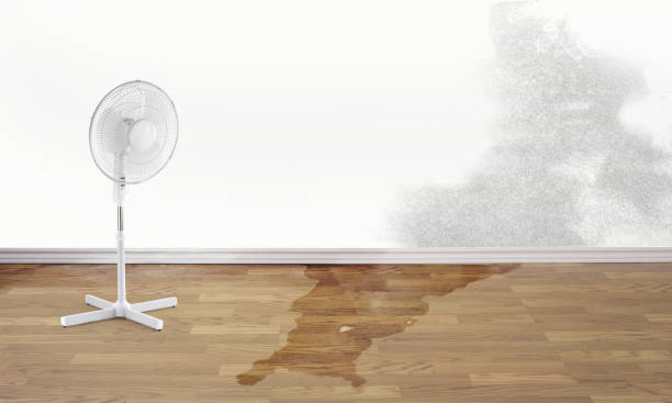  Palm Beach Gardens, FL Water damage restoration Pros