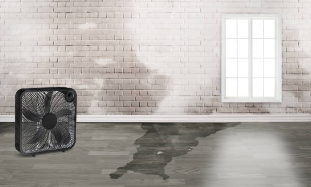 Best Flooded house restoration  in Palm Beach Gardens, FL