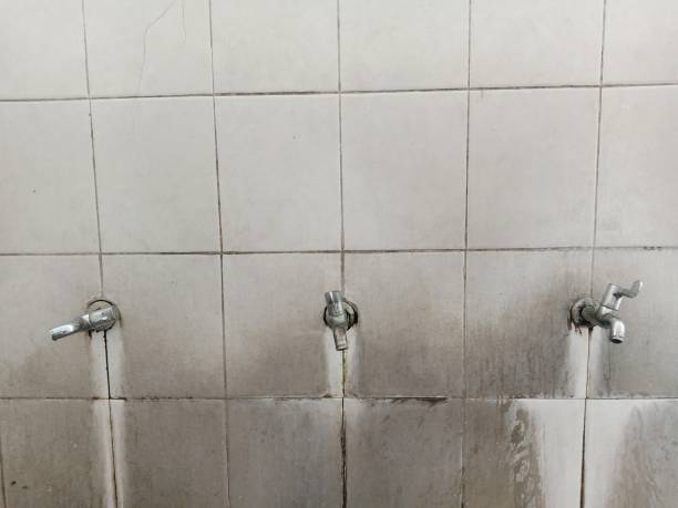 Best Sewage cleanup and water damage restoration  in Palm Beach Gardens, FL