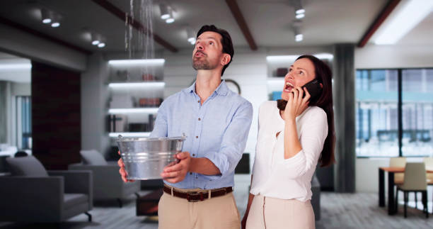 Best 24-hour water damage restoration  in Palm Beach Gardens, FL